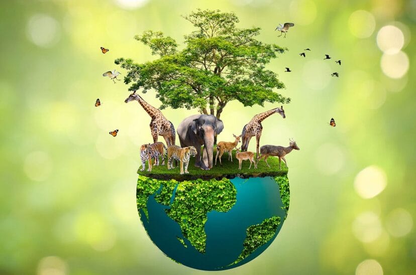 COP16: Colombia llama a proteger la biodiversidad imagen de la publicación