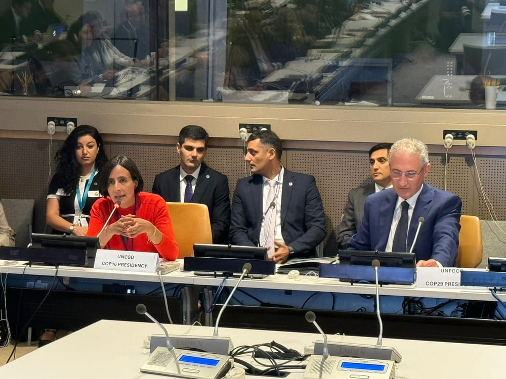 Colombia consolida su liderazgo climático global en Nueva York imagen de la publicación