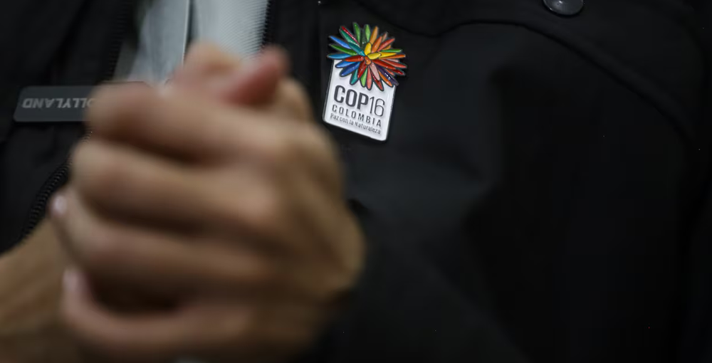 Colombia y el desafío de la biodiversidad: Todo listo para la COP16 imagen de la publicación