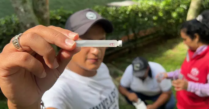 Floridablanca registra baja en contagios de dengue, pero se mantiene alerta imagen de la publicación