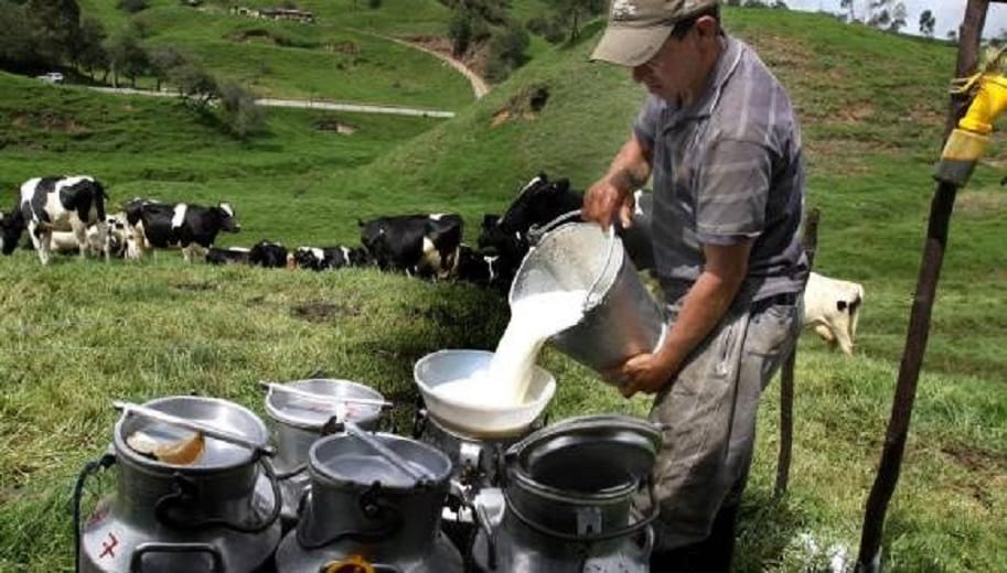 Crisis de alimentos en Santander: Paro de camioneros afecta suministro de leche y carne de res imagen de la publicación