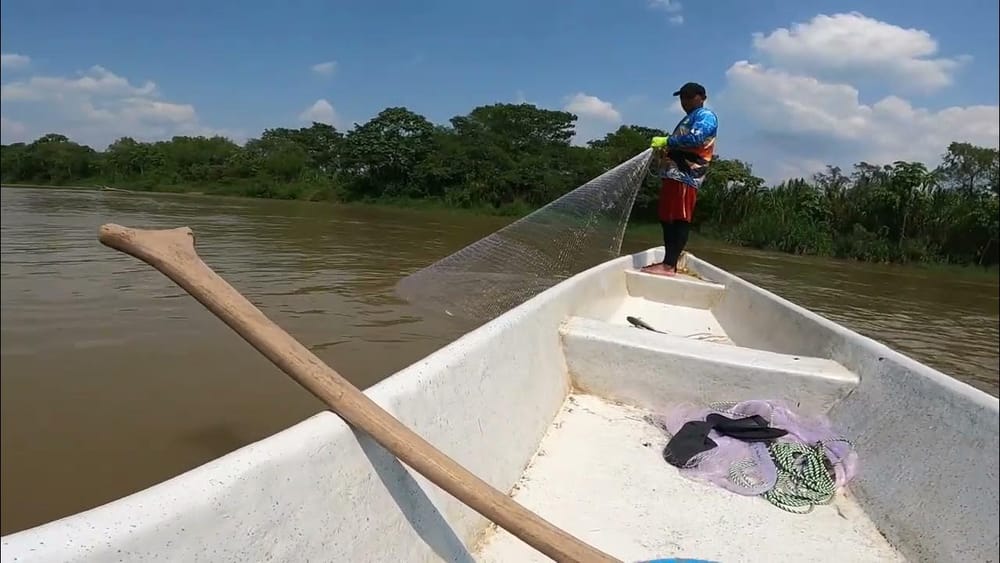 Gremio pesquero en Barrancabermeja exige su lugar en la contratación para limpieza de caños y ciénagas imagen de la publicación