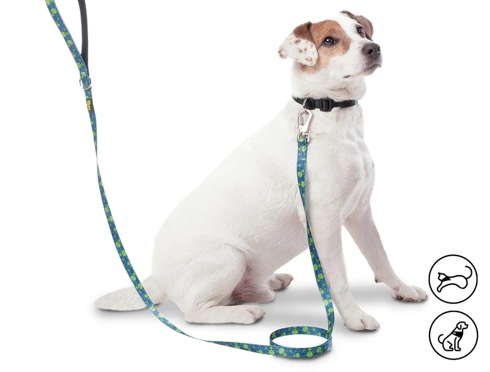 Regalos para mascotas: La nueva tendencia en Amor y Amistad imagen de la publicación