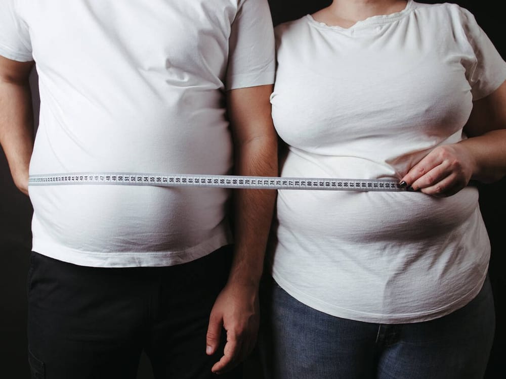 La obesidad en Santander imagen de la publicación