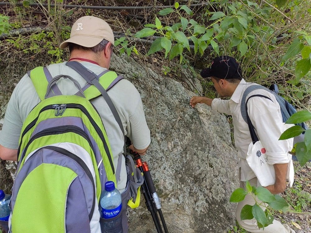 Hallan 120 nuevas especies de líquenes en el Cañón del Chicamocha imagen de la publicación