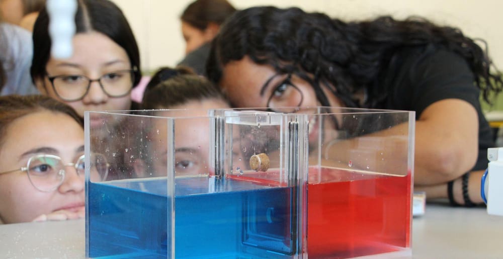 Educación y geología: Una jornada memorable en Sabana de Torres imagen de la publicación