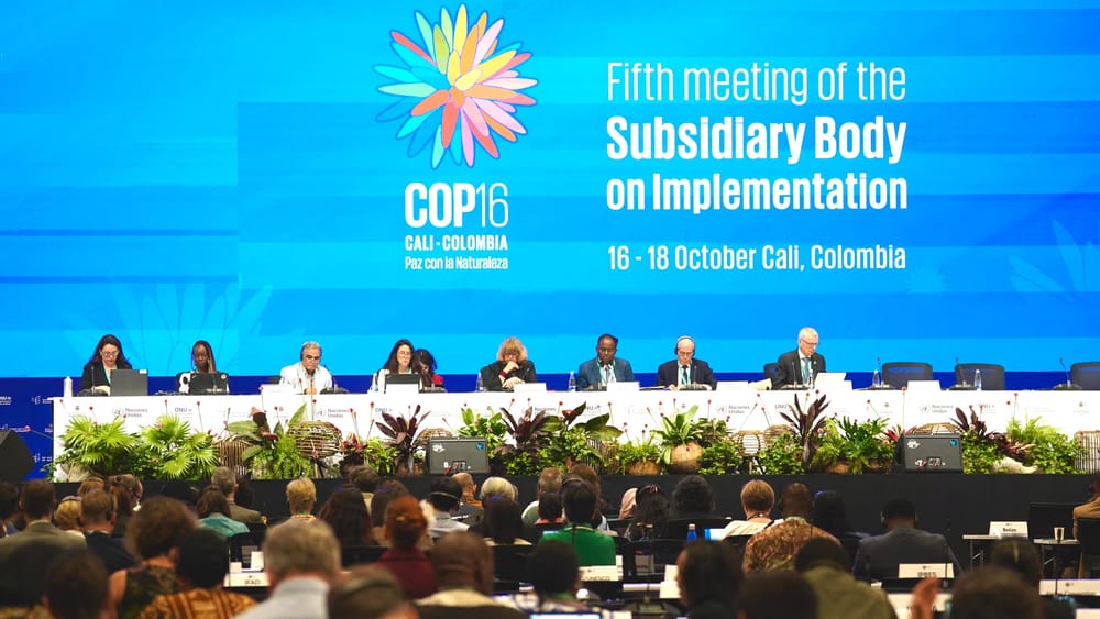 Colombia acoge a líderes globales para discutir acciones en pro de la biodiversidad imagen de la publicación