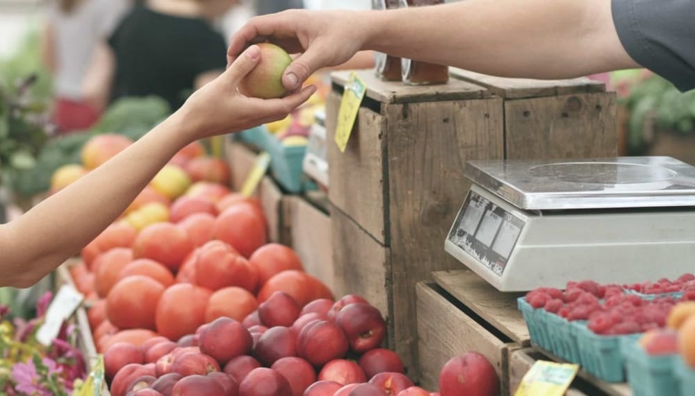 Las PyMEs colombianas: Héroes silenciosos que generan el 80% de los empleos imagen de la publicación