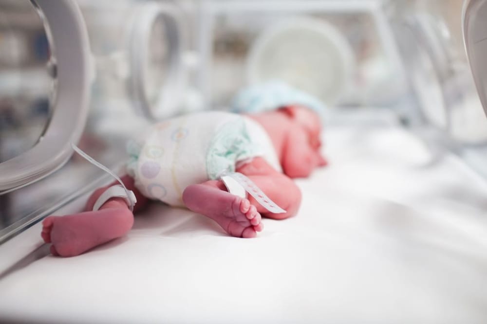 El rol crucial de los cuidados en los bebés prematuros imagen de la publicación