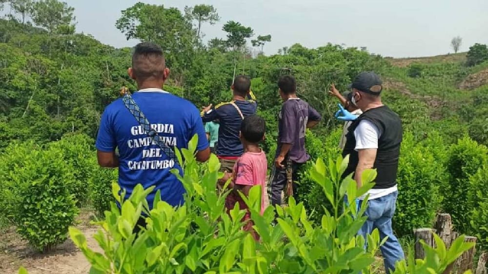 Catatumbo estrena Zona de Reserva Campesina para 8 mil habitantes imagen de la publicación