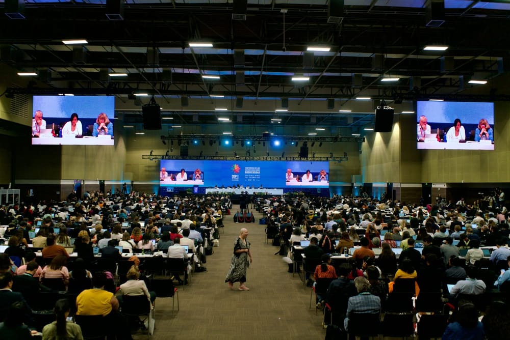 COP16: Cali sentó las bases para la conservación y la equidad en la biodiversidad imagen de la publicación