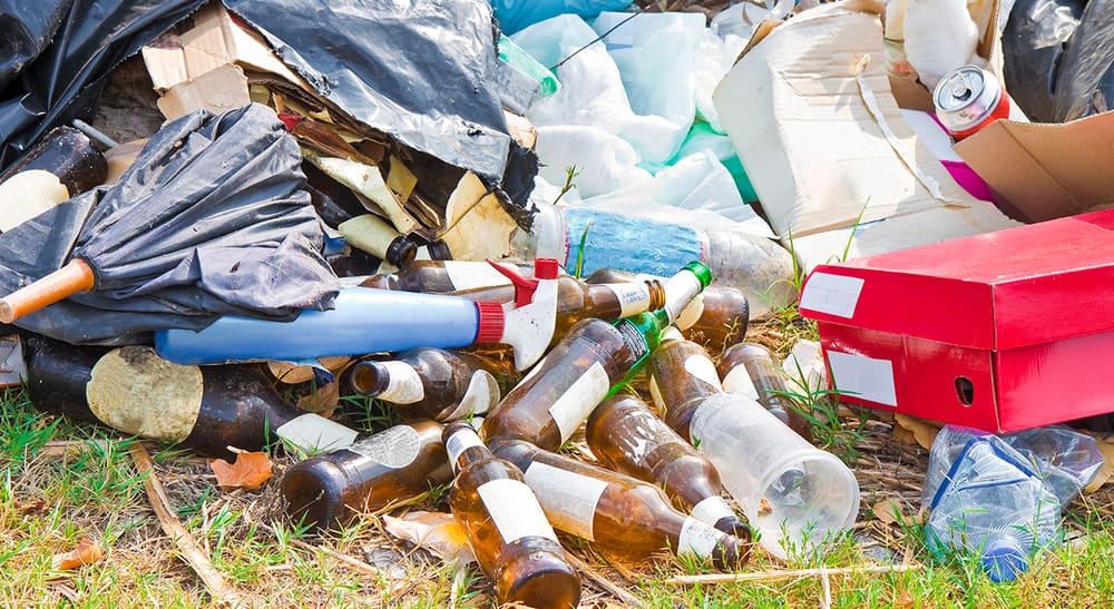 Santander busca reducir un 15% de basura en rellenos sanitarios imagen de la publicación