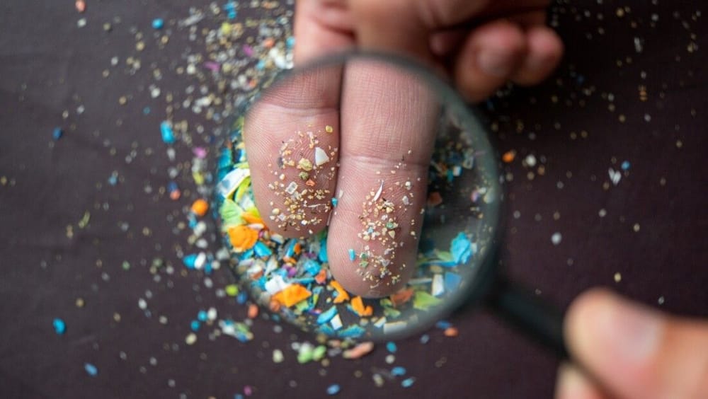 Estudio revela presencia de microplásticos en alimentos y aire imagen de la publicación
