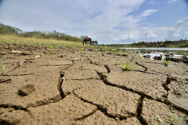 Ideam anuncia temporada seca que se extenderá hasta marzo de 2025 imagen de la publicación