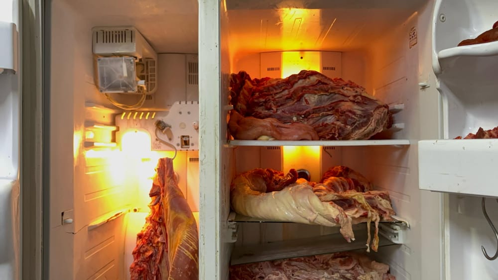Sellan establecimiento de carnes por malas prácticas en La Cumbre imagen de la publicación