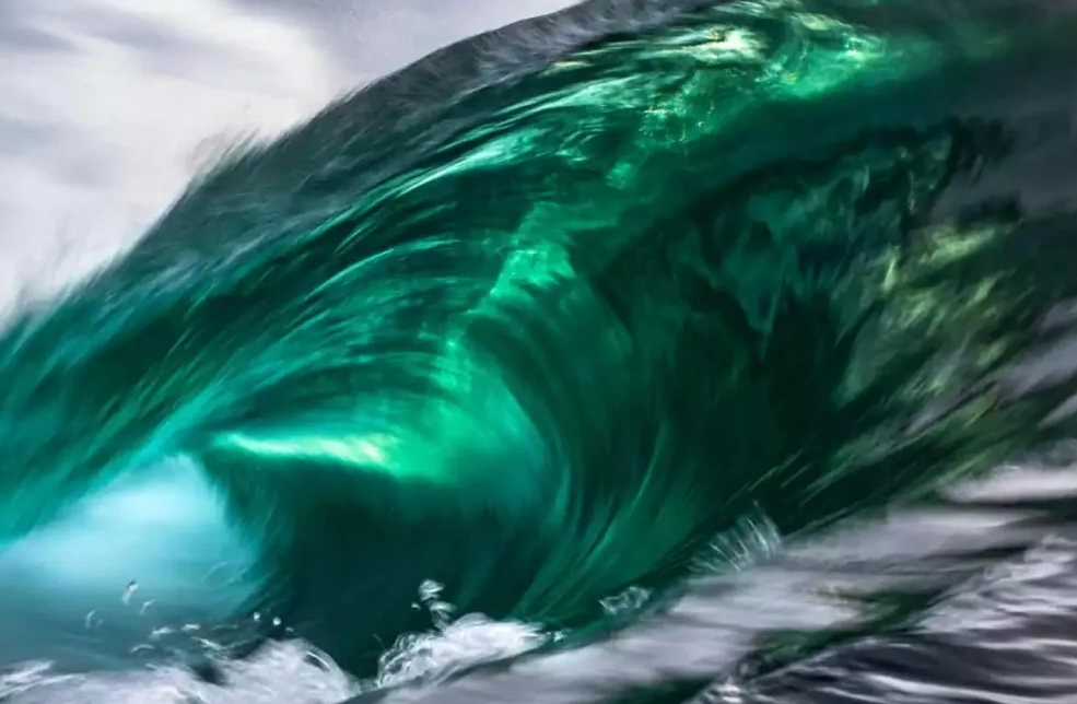No es ciencia ficción: el mar se está volviendo verde imagen de la publicación