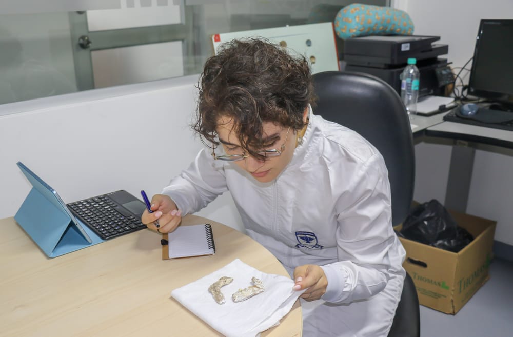 Análisis de dientes revela cómo vivían los indígenas en Santander imagen de la publicación