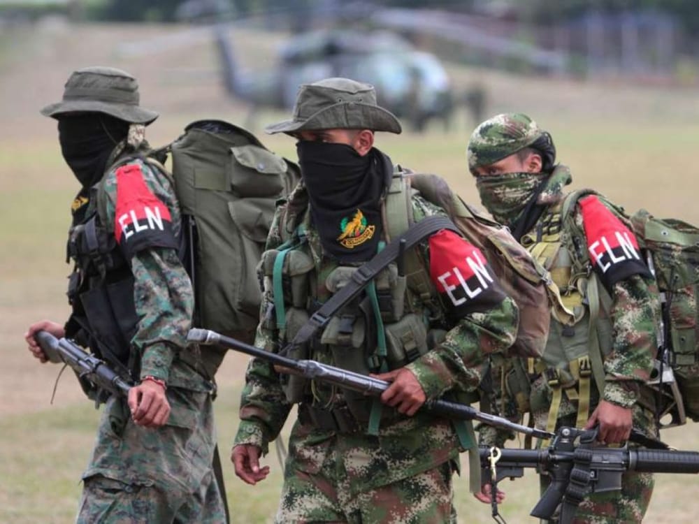 Aumenta desmovilizaciones de las filas del ELN, muchos son menores de edad imagen de la publicación