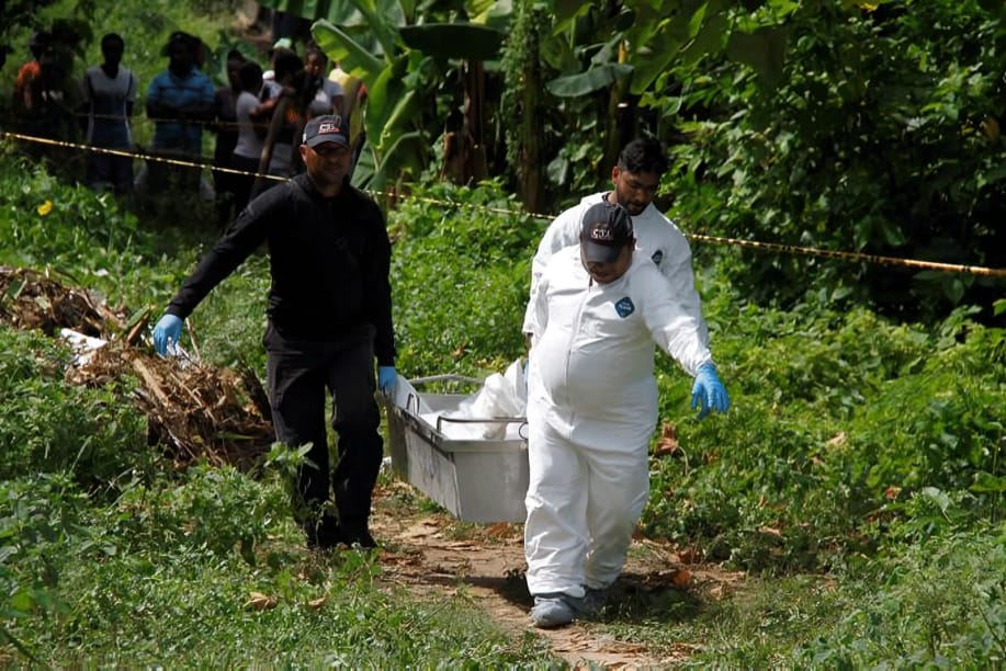Hallan muerto a un hombre en un descampado imagen de la publicación
