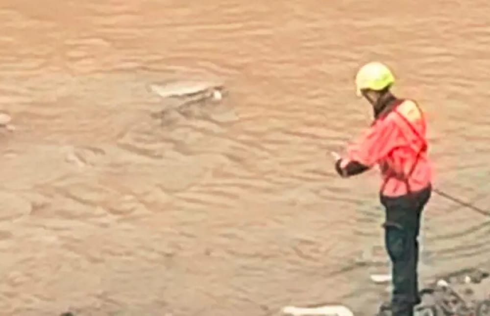 Encontraron una pierna y una mano en días diferentes en quebrada de Medellín imagen de la publicación
