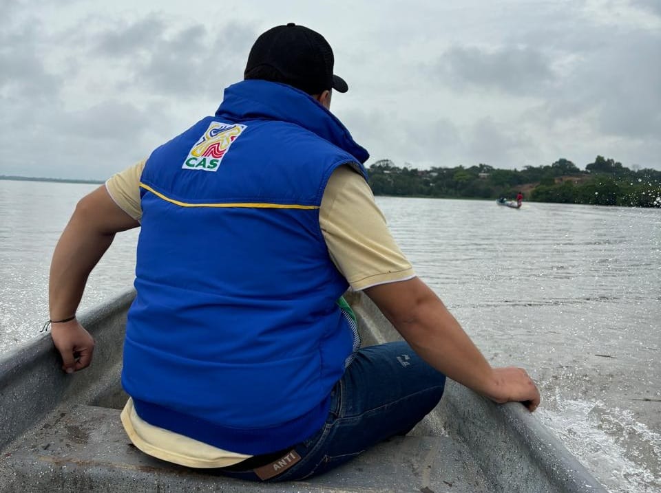 Misteriosa muerte de manatí enciende alertas en El Llanito imagen de la publicación