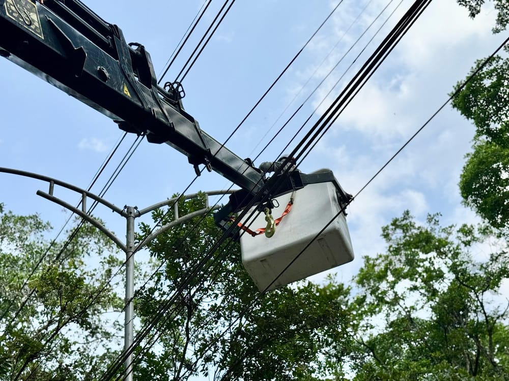 Reinstalan 800 metros de alumbrado público en la Transversal Oriental imagen de la publicación
