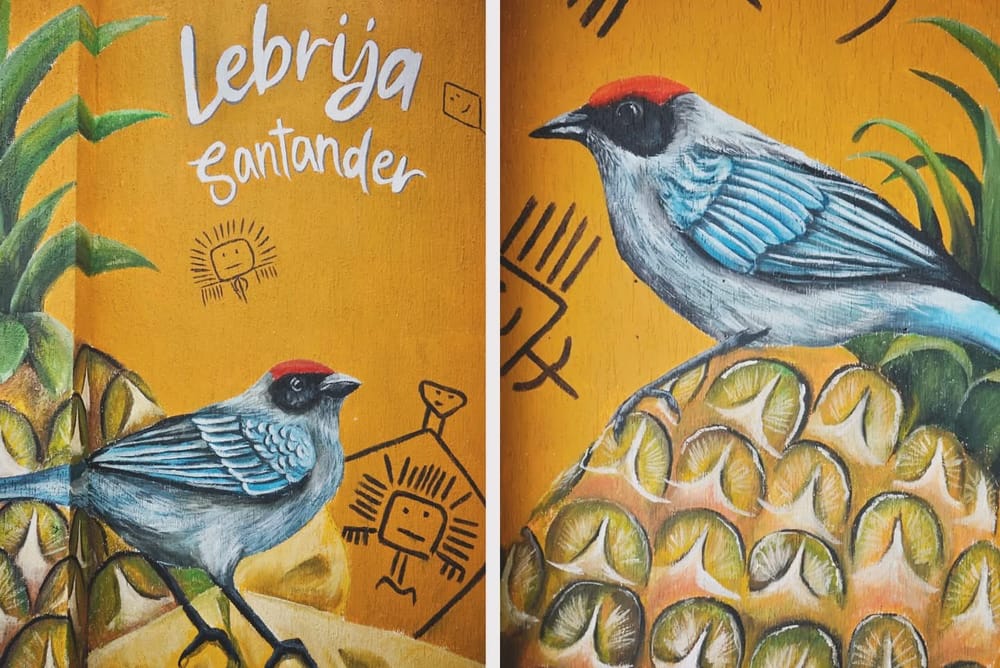 El arte embellece las calles de la capital piñera imagen de la publicación
