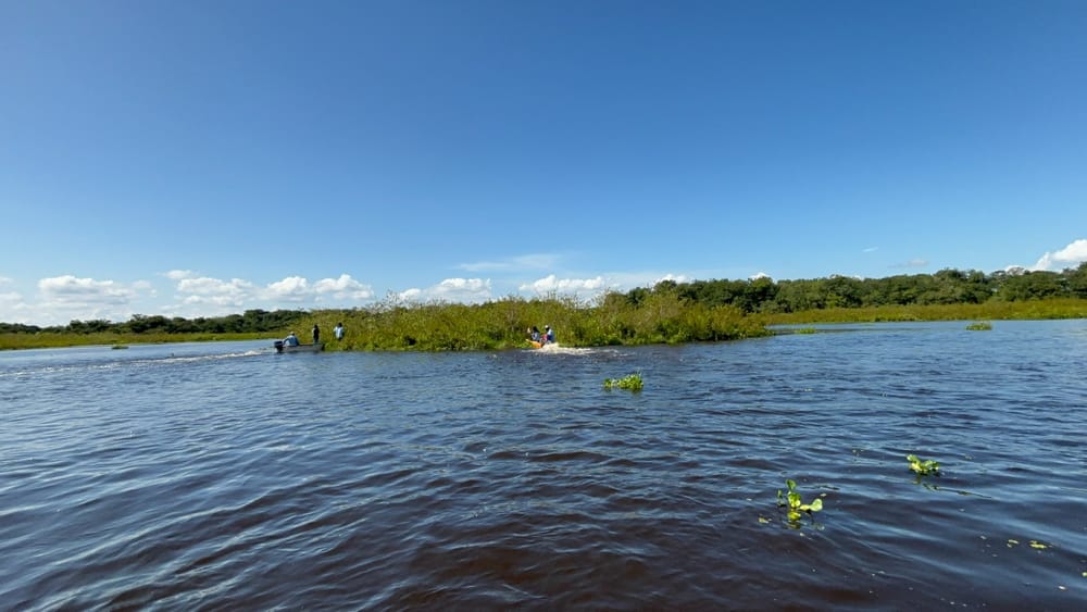 Renacen los humedales de Puerto Parra imagen de la publicación