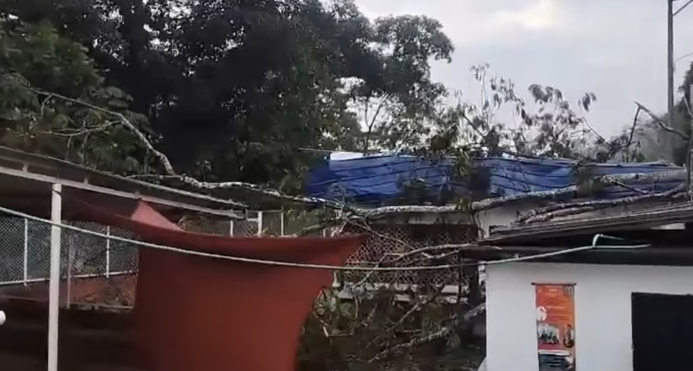 Colegio en Rionegro a punto de colapsar y estudiantes sin respuesta imagen de la publicación