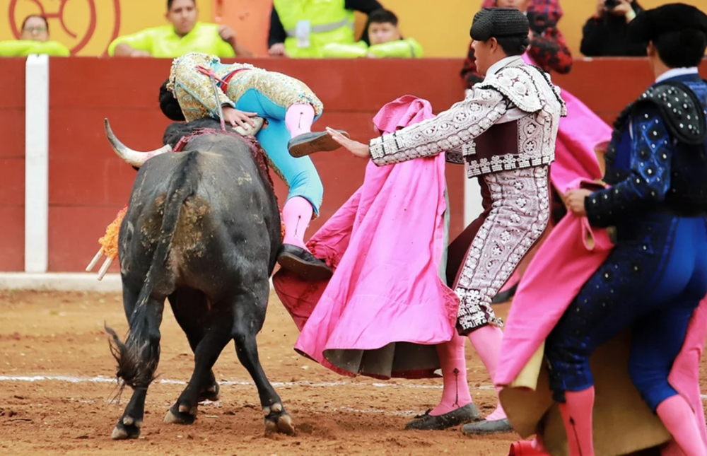 VIDEO. Emilio Macías recibe de alta tras grave cornada en Tlaxcala imagen de la publicación
