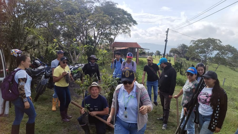Estudiantes reforestan la vereda El Tuntún imagen de la publicación