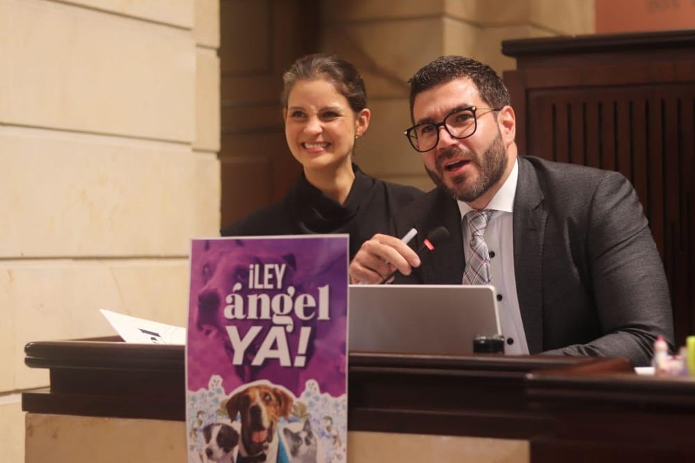 Piden al presidente que sancione ley que endurece castigo contra el maltrato animal imagen de la publicación