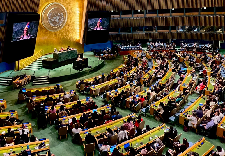 MinAmbiente desde la ONU: “La crisis climática no tiene solución sin los pueblos indígenas” imagen de la publicación
