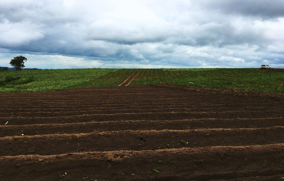 La Corte recordó las facultades del juez de restitución de tierras, entre ellas, la contribución a la paz y el acceso progresivo a la tierra imagen de la publicación