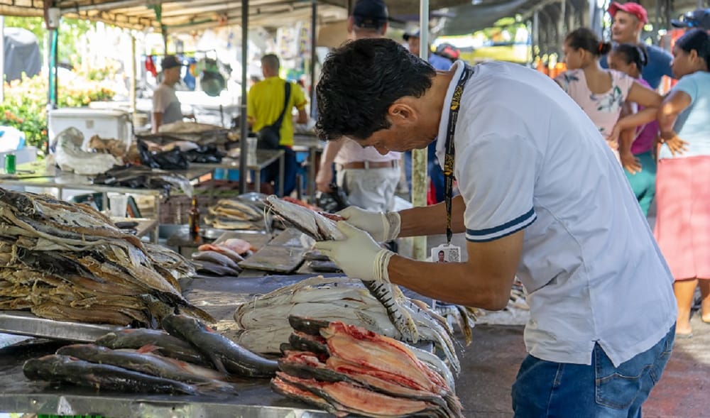 Operativos para evitar venta de pescado en mal estado durante la Semana Mayor en Barrancabermeja imagen de la publicación
