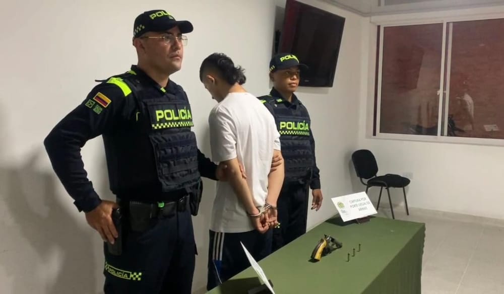 Por porte ilegal de arma de fuego Audrey fue a parar a la Fiscalía imagen de la publicación