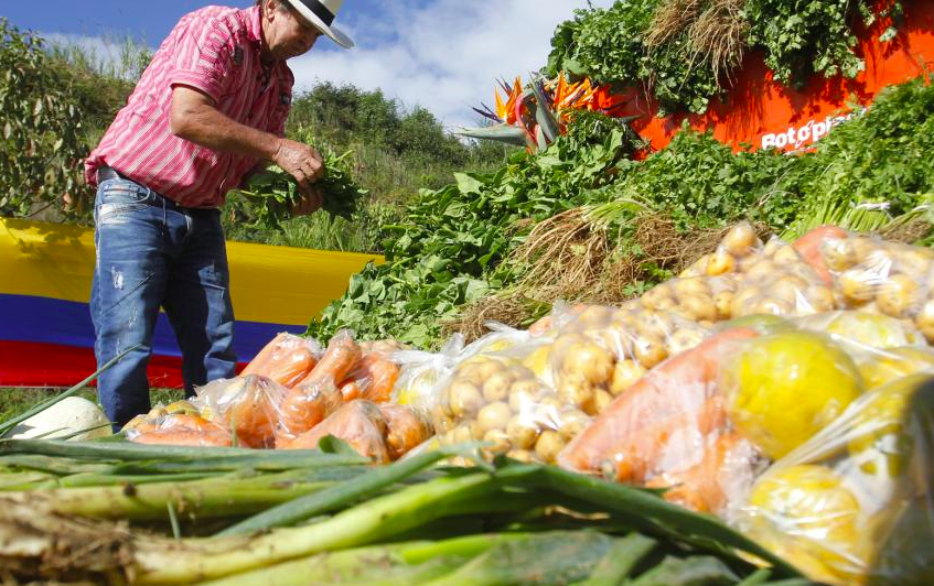 Críticas al gobierno por dificultades de los pequeños cultivadores para acceder a crédito digno imagen de la publicación