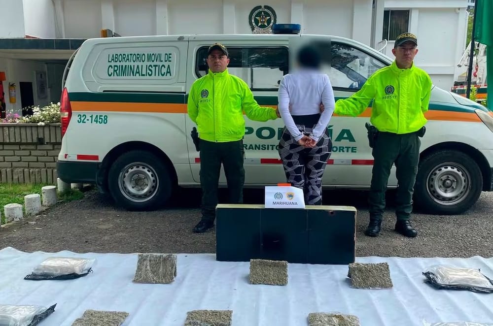 ‘Narcoabuela’ recibía hierba embalada en encomiendas imagen de la publicación