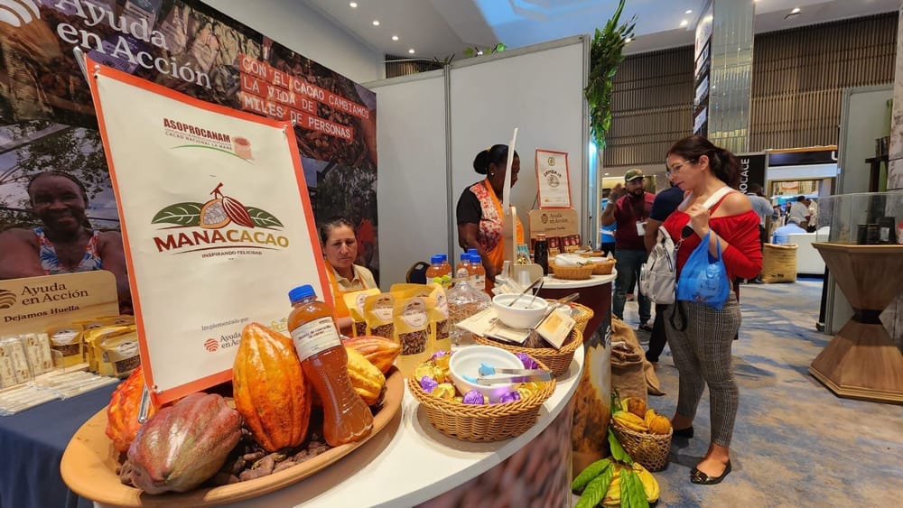 Santander es el mayor productor de cacao pero no el más exportador imagen de la publicación