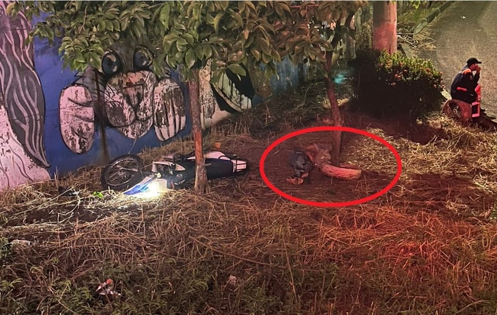 Chocó su vida y su moto contra unas barandas imagen de la publicación