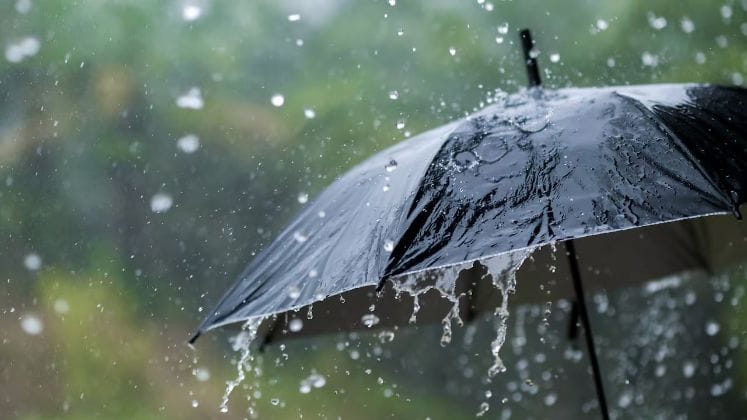 Lluvias colapsan el turismo y la agricultura en García Rovira imagen de la publicación