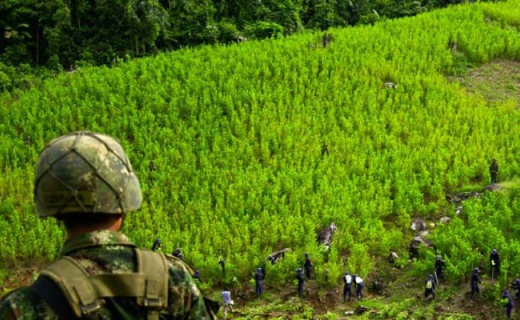 Colombia es el primer productor mundial de cocaína del mundo imagen de la publicación