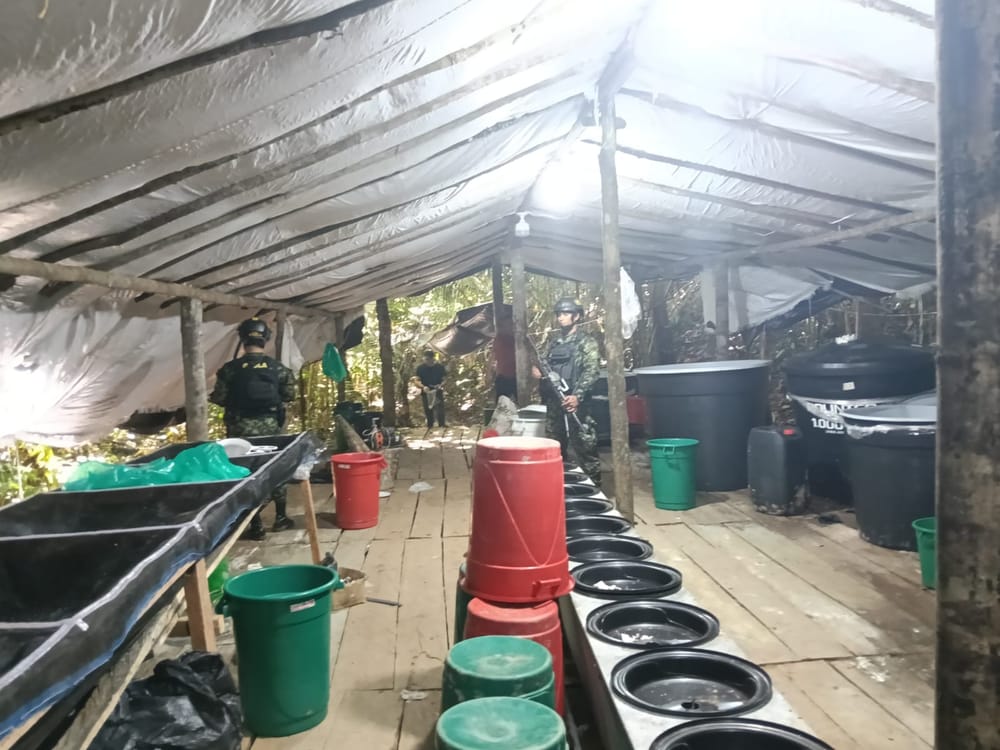 Destruido mega laboratorio para elaboración de cocaína imagen de la publicación