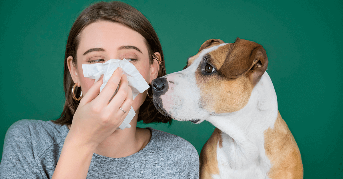 Cómo tener mascotas sin morir de alergia: consejos que sí funcionan imagen de la publicación