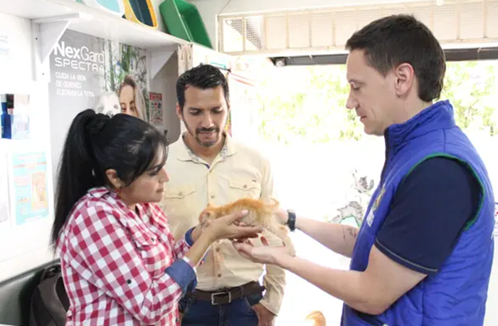 Odín, el gatito rescatado que espera un hogar para siempre imagen de la publicación