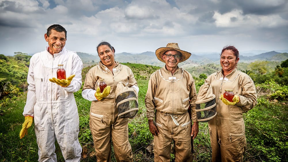 Cultivadores de Santander aún pueden participar en el Crédito Asociativo de Finagro imagen de la publicación