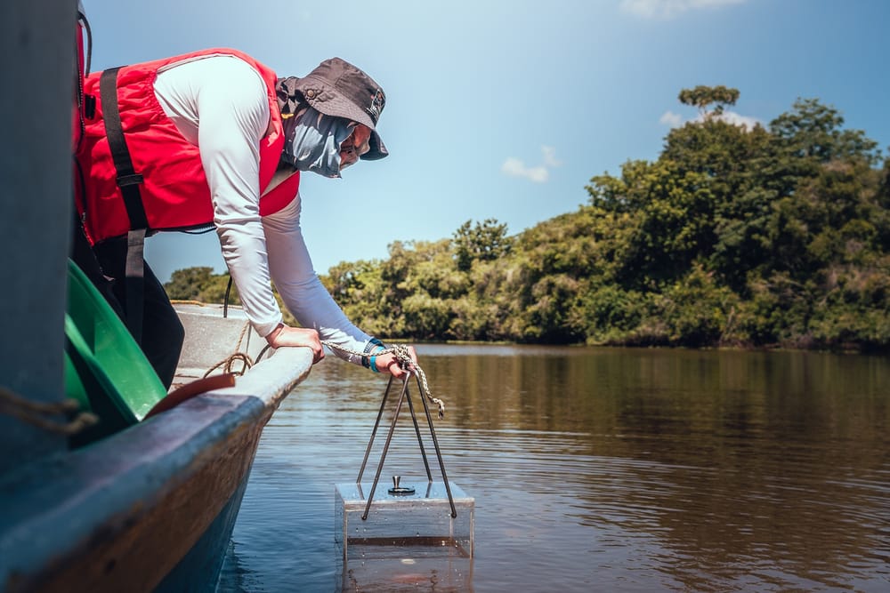 Nace el laboratorio vivo para la conservación de humedales y la transformación socioambiental imagen de la publicación