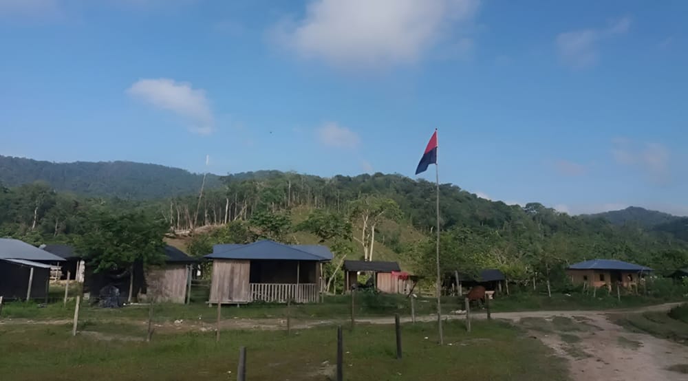 Sur de Bolívar sin comida ni combustibles por accionar del ELN y el Clan del Golfo imagen de la publicación
