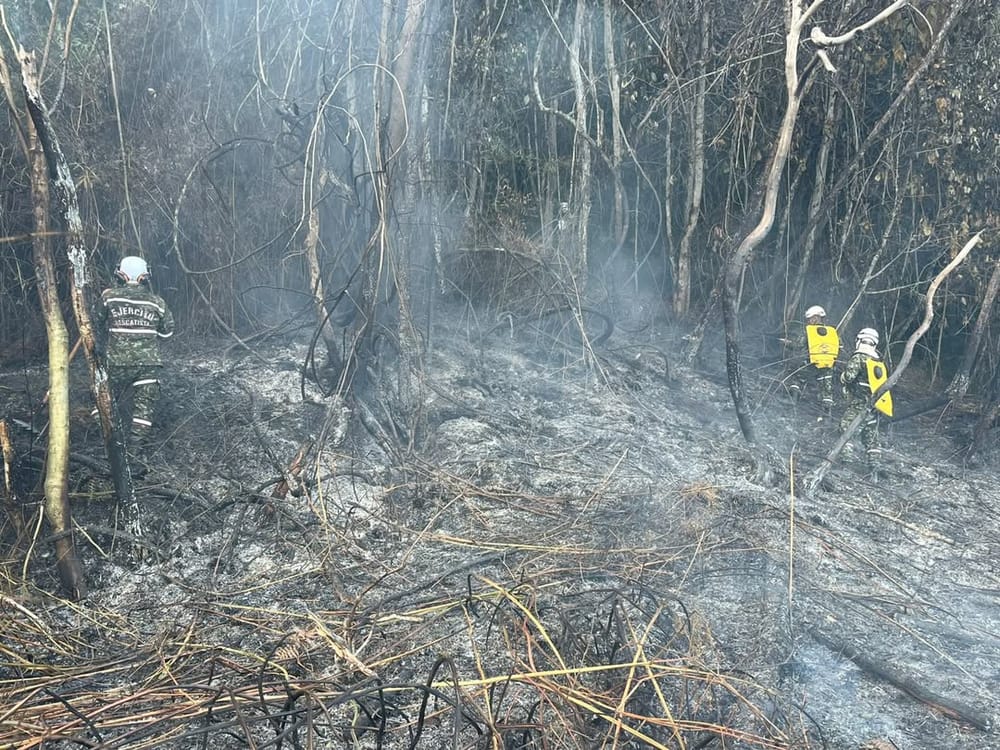 Controlado el incendio en Matanza, más de 200 hectáreas afectadas imagen de la publicación
