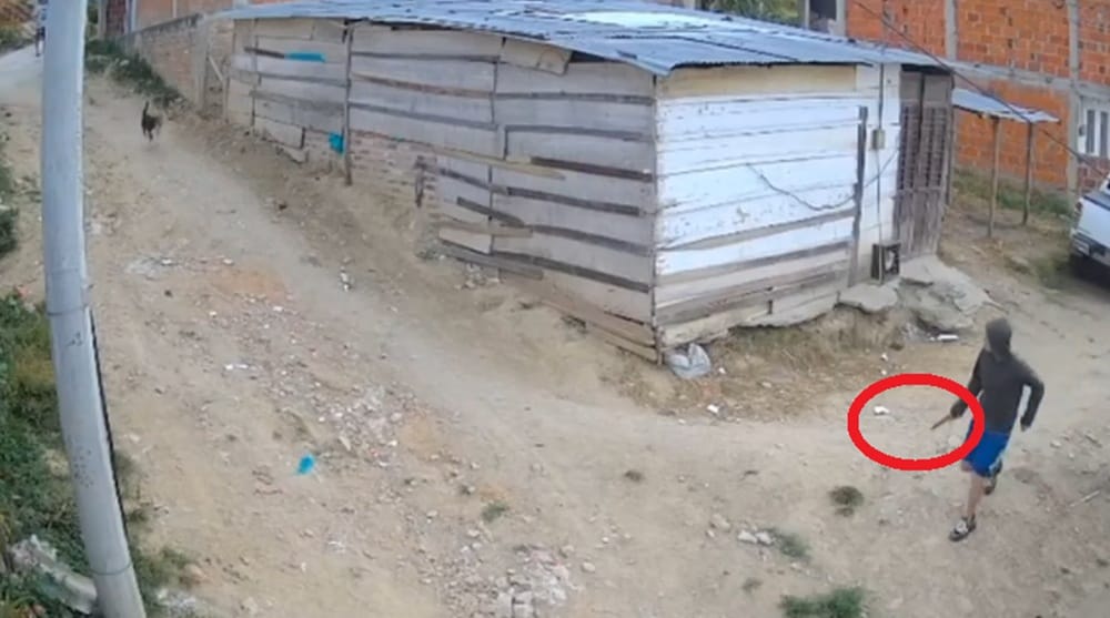 Perrita le ladró y la mató a cuchillo. Ahora está encarcelado imagen de la publicación